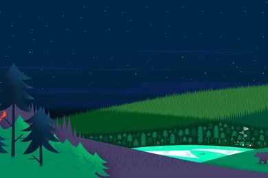 Night Time In The Forest Wallpapers Vector Wallpapers