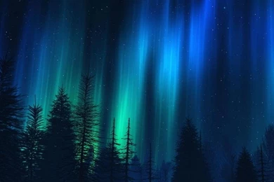 DREAM FOREST WALLPAPER (