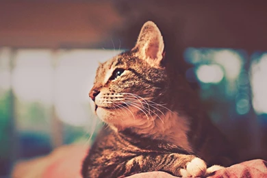 Warm iPad Wallpapers