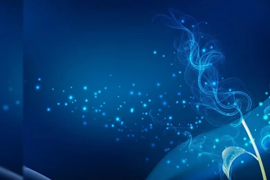 Best Quality Wallpaper Widescreen.jpg