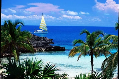 Wallpapers Computer Backgrounds Free   5 Items