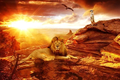 48 HD Africa Wallpapers For Desktop And Mobile