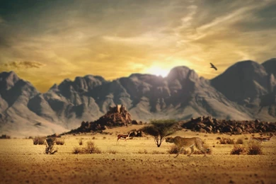 Africa Desktop Wallpapers