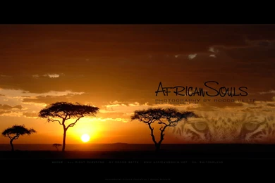 AfricanSouls Downloads & Wallpapers