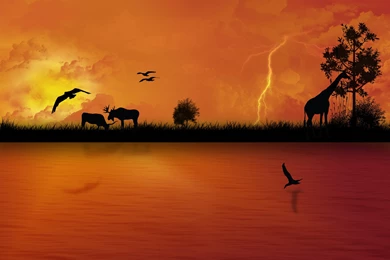 Africa Sunset Wallpapers
