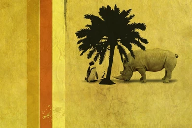 African Desert Safari Wallpapers