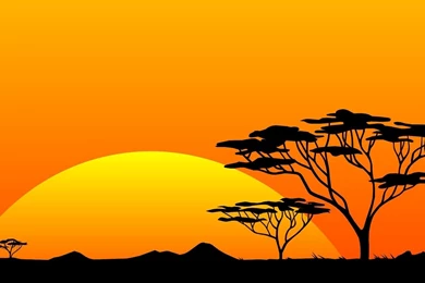 Africa Safari Wallpapers