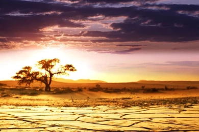1920x1080 African Landscape, The Sky, Savannah, Horizon, Sunrise ...