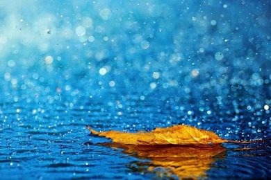 Rainy Day Wallpapers