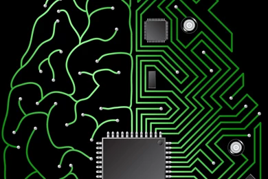 NOVA   Official Website