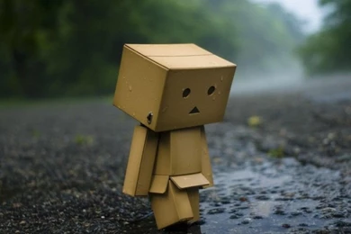 Rainy Day Wallpapers