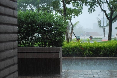 Rain wallpapers summer 2013 13.jpg