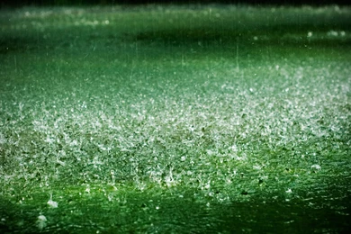 Rainy Season Wallpapers Download