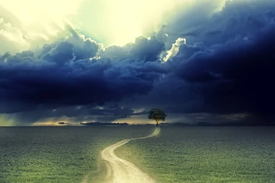 Free Download HD Wallpapers, Pictures, Images, Backgrounds ...