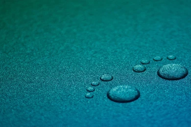 Rainy Wallpaper Widescreen HD.jpg