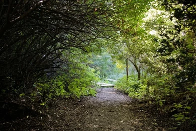 Patagonia Natural Scenery Wallpapers