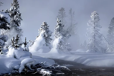 Winter Wallpapers 1920x1080