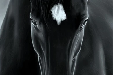 HD Wallpapers For Our Beloved NOTE 2