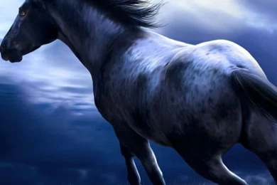 Horse Wallpapers Hd Iphone   Wild Horse Iphone Hd Wallpaper, Iphone ...