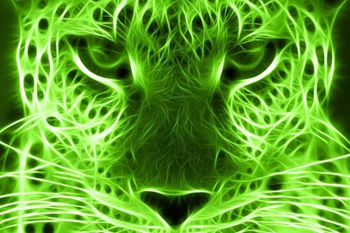 Go Green Wallpapers   Wallpapers HD Base