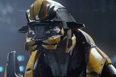 Huge Batch Of HD Halo: The Master Chief Collection Screenshots ...