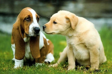 1600x1200   Page 426