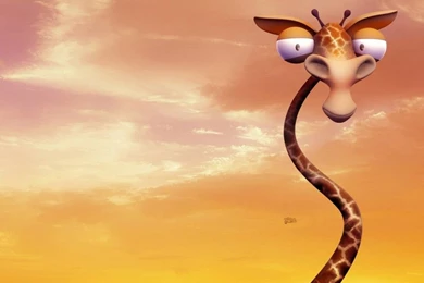 Hilarious Wallpapers   High Definition : Widescreen Wallpapers