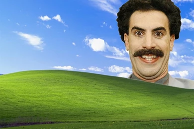 Borat Wallpapers I Found Most Hilarious (1024 X 768) : Wallpapers