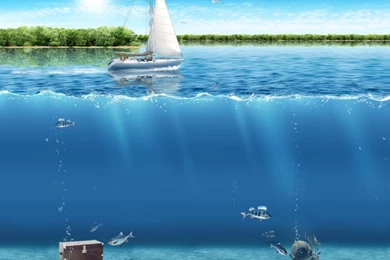 Funny Backgrounds For Android Tablet HP TouchPad 1280*800