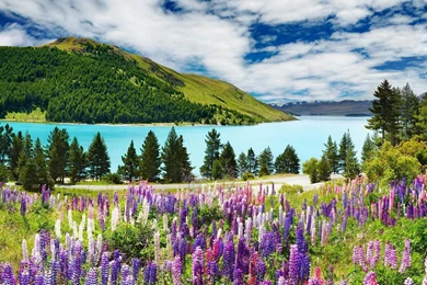 Spring Wallpapers For Desktop 240728