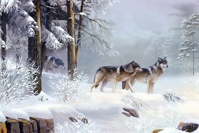Winter Snow Animals Wolves Wallpapers