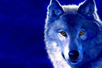 3d Wallpapers Free Download