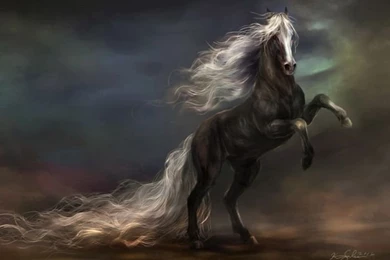 Wallpaper: 3 Spectacular Horse Wallpapers For You Desktop
