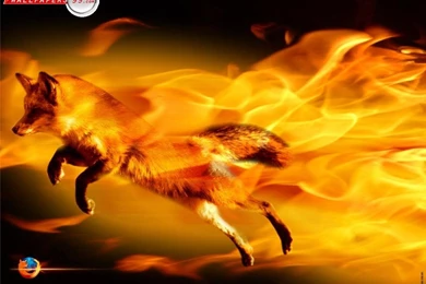 Firefox Desktop Wallpapers Picture Image 1024x768 11342