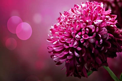 1024×768 Wallpapers