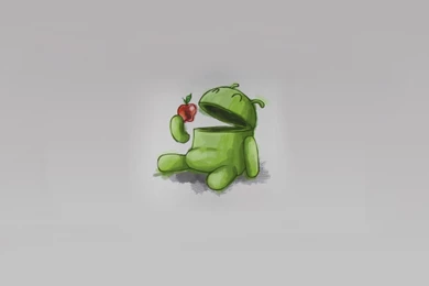 Android Wallpapers HD STAY008