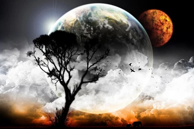 Wallpapers: Wallpapers HD