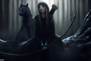 Free Drow Ranger Desktop Wallpapers 19201080