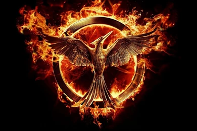 Mockingjay The Hunger Games Wallpapers HD