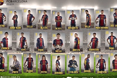 National geographic elephant wallpaper 29 58508 Desktop Wallpapers ...