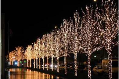 Christmas Magic Desktop Wallpaper