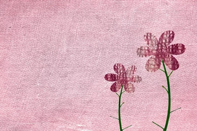 When I Was Your BEST FRIEND.