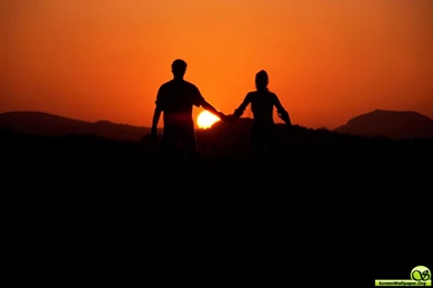 Not Just Friends >> HD Wallpaper, Get It Now!