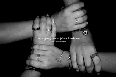 40+ Cute Friendship Quotes With Images