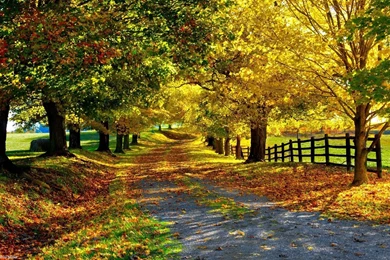 Nature hd images.jpg