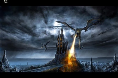 Black Dragon Pictures   Wallpapers HD Base