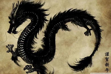 Chinese Black Dragon HD Desktop Wallpapers : High Definition ...