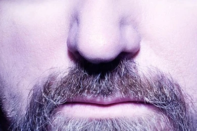 Zakk Wylde Face Hair Beard Hat iPhone 6 Wallpapers Download ...