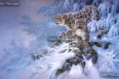 348920_larry fanning_snezhnyj bars_irbis_zima_2525x1541_www.Gde Fon.com.jpg