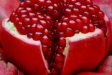 Desktop hd free images of fruit.jpg
